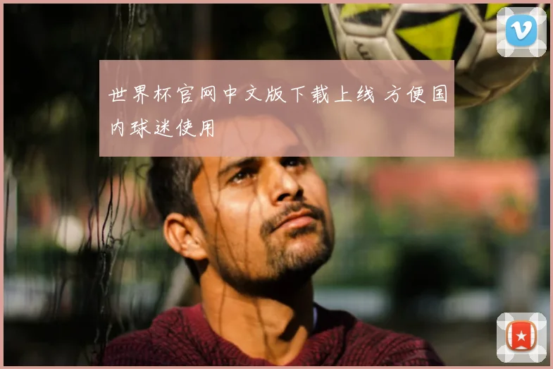 世界杯官网中文版下载上线 方便国内球迷使用