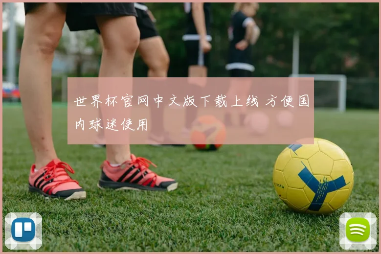 世界杯官网中文版下载上线 方便国内球迷使用