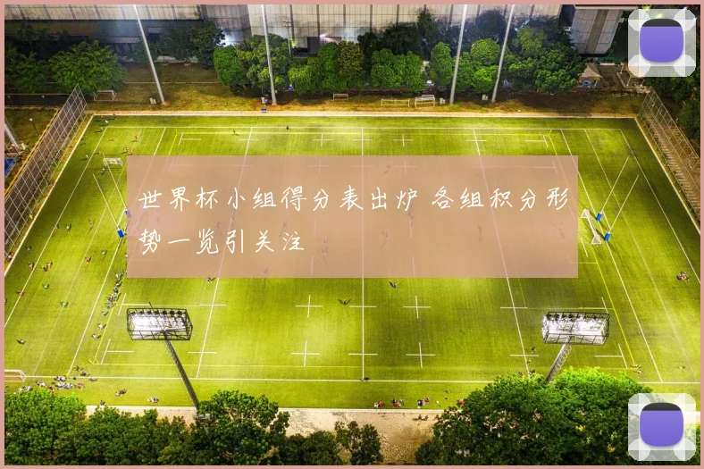 世界杯小组得分表出炉 各组积分形势一览引关注